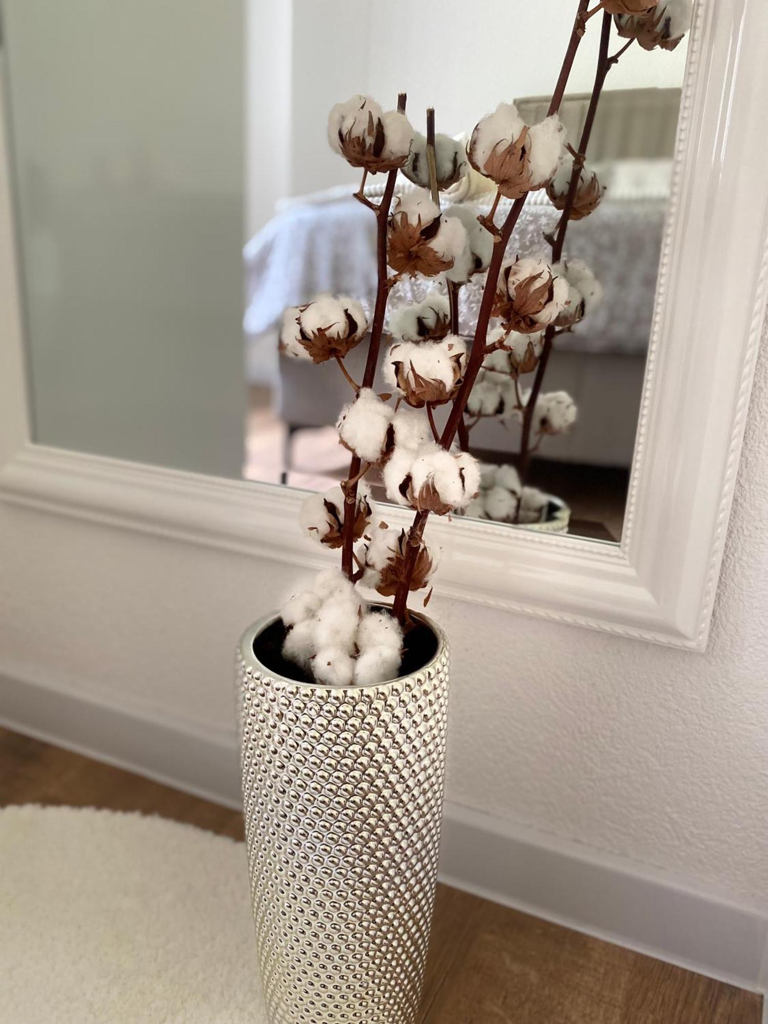 Apartman Rawda 2 亚伊采 外观 照片